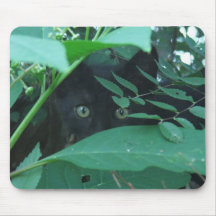 Allen_Photo 001 Mouse Mat
