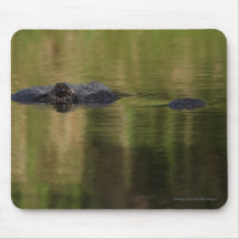 alligator mousemats