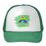 ALLY SYMBOL 3D HATS