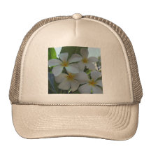 Almost Edible Frangipani Hats