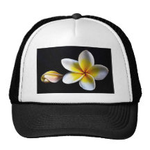 Aloha Hawaiian Frangipani Blossoms Plumerias Mesh Hat