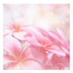 Aloha Photo Print