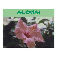 ALOHA! - postcard