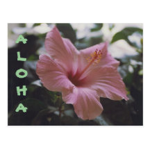 ALOHA - postcard