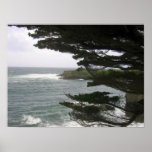 Along the Pacific Coast Highway 3 Posters