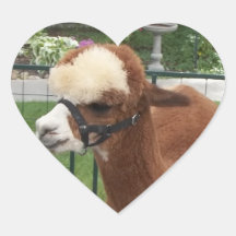 Alpaca Heart Stickers