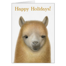 Alpaca Holiday Greeting Card
