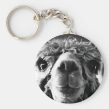 Alpaca Keychains