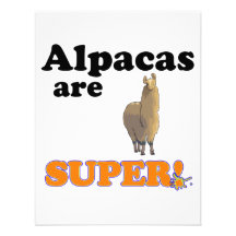 alpacas are super invitation