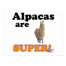 alpacas are super postcards