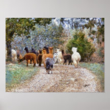 Alpacas Digital Painting Print