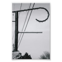 Alphabet Letter Photography F1