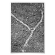 Alphabet Letter Photography Y1 Black and White 4x6