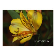 Alstroemeria Flower  INVITATION