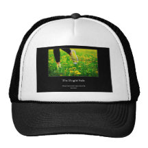 Always look on the bright side of life, insurance. hats