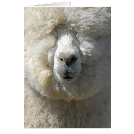 Amazing Gandalf the alpaca Cards