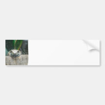 Amazon Milk Frog Bumper Sticker