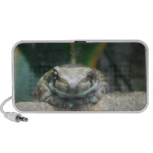Amazon Milk Frog  Speakers