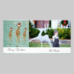 Amber & Azure Giraffes Christmas Photo Card photo cards