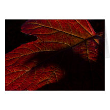 Amber Leaf Greeting Card