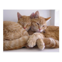 Amber & Topez Postcard