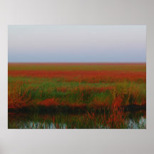 Amber Waves Poster