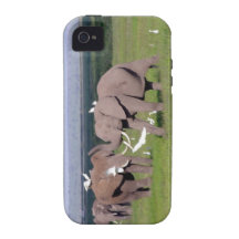 Amboseli Elephant Case Mate Case-Mate iPhone 4 Covers