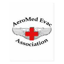 AMEA Logo drop shadow version Post Card
