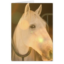 American Andalusian Greeting Card