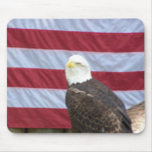 American Bald Eagle Mouse Mats