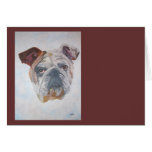 American Bulldog Card