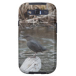 American Dipper; Customisable