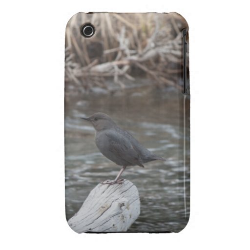 American Dipper iPhone 3 Case-Mate Cases