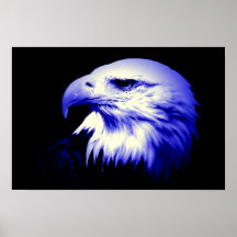 American Eagle Bald Eagle Poster Print