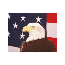 American Eagle Stretched Canvas Prints