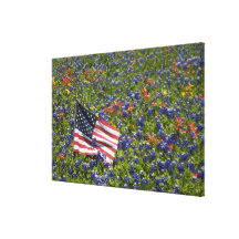American Flag in field of Blue Bonnets, 2 Canvas Print