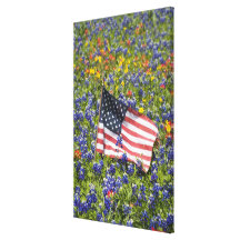 American Flag in field of Blue Bonnets, Canvas Prints