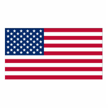 American Flag Photo Sculpture