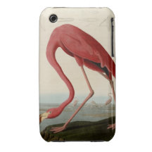 American Flamingo iPhone 3 Case