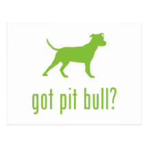American Pit Bull Terrier Postcards