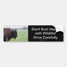 American Plains Buffalo Bison Bumpersticker Bumper Sticker