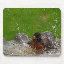 American Robin Mousepad