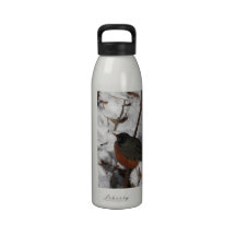 American Robin Water Bottle