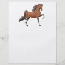American Saddlebred Flyer