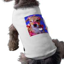 American Staffordshire Terrier Boxer Mix Puppy Dog Dog Clothes