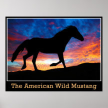 American Wild Mustang Poster
