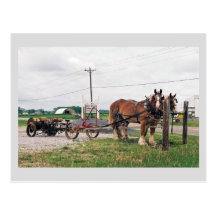 Amish Acres Produce Post Cards