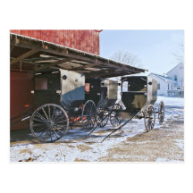 Amish Buggy Port Postcards
