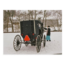 Amish Buggy-Postcard
