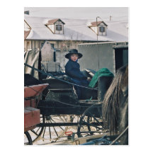 Amish Child in Buggy-Postcard